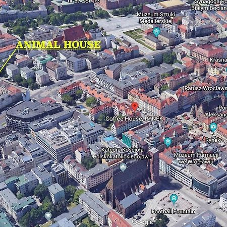 Animal House - Stayinwroclaw Breslávia Exterior foto